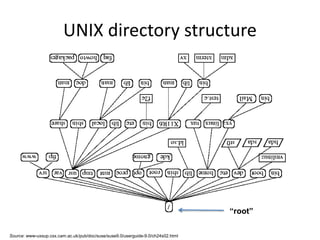 UNIX directory structure
“root”
Source: www-uxsup.csx.cam.ac.uk/pub/doc/suse/suse9.0/userguide-9.0/ch24s02.html
 