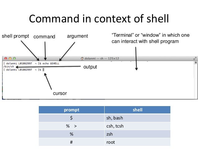 In A Unix Context Cat Is The Name Of In A Unix Context Cat Is The Name Of