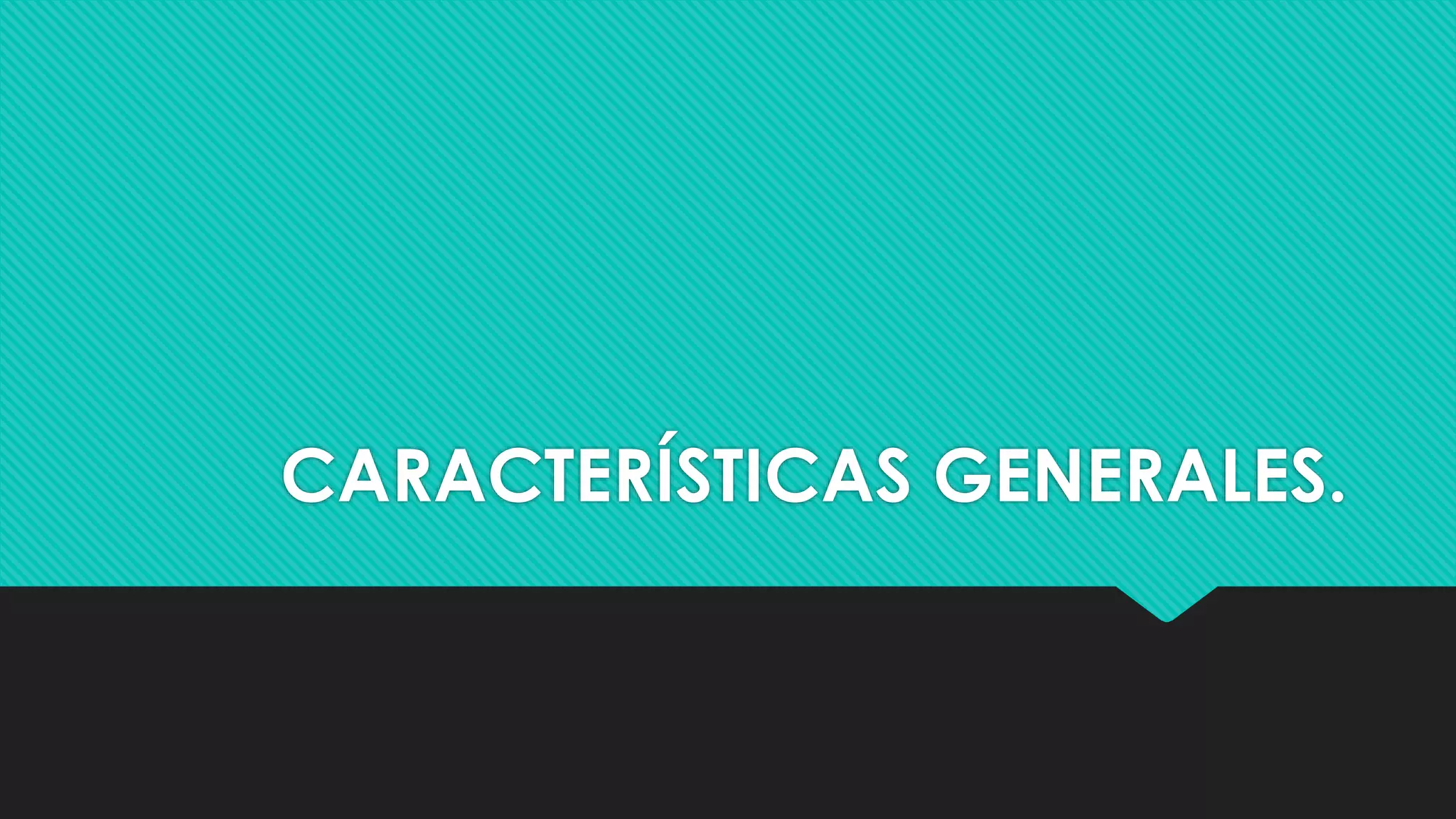 CARACTERÍSTICAS GENERALES.
 