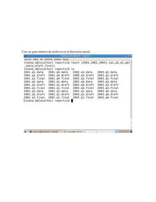 Cree un gran número de archivos en el directorio actual.
 