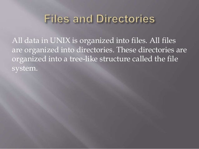 Unix homework help 03 picture