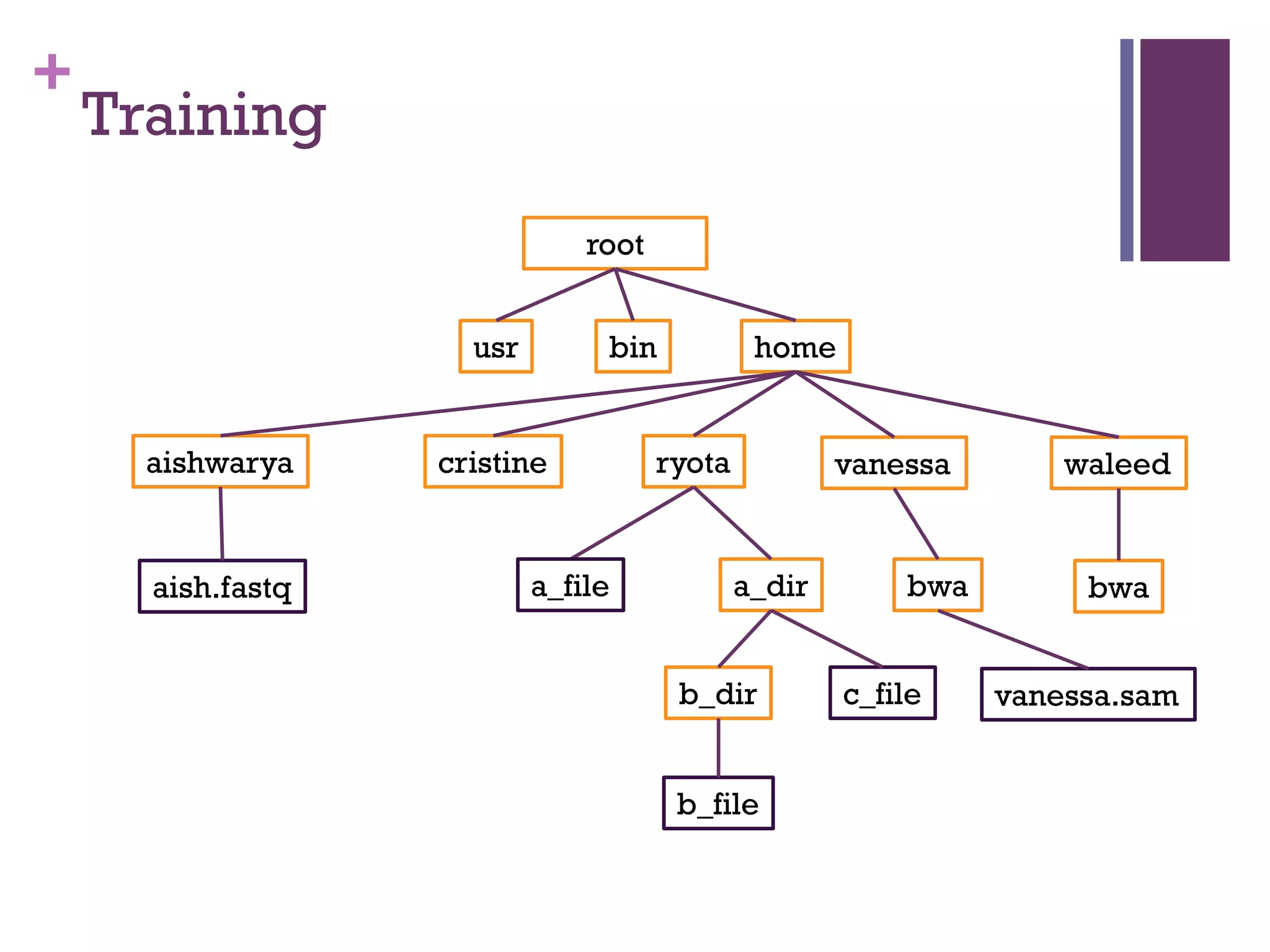 Unix Class 5 23 PPT Unix class 5 23 ppt