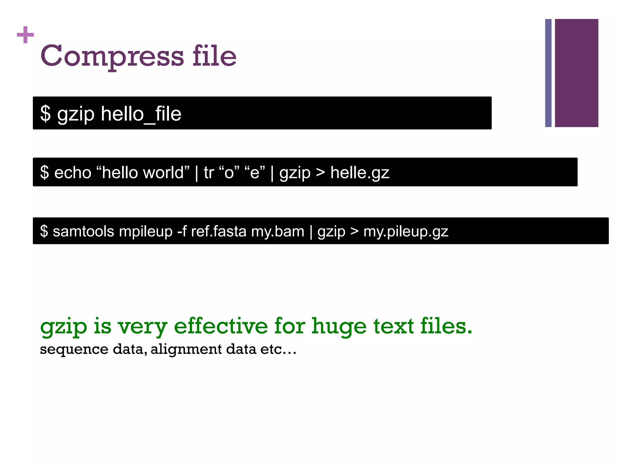 Unix Class 5 23 PPT Unix class 5 23 ppt