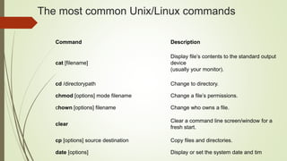 Unix_Introduction_BCA.pptx the very basi | PPT