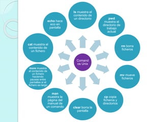 Comand
os Unix
ls muestra el
contenido de
un directorio pwd
muestra el
directorio de
trabajo
actual
rm borra
ficheros
mv mueve
ficheros
cp copia
ficheros y
directorios
clear borra la
pantalla
man
muestra la
página del
manual de
un comando
more muestra
el contenido de
un fichero
haciendo
pausas entre
pantallas si el
fichero es largo
cat muestra el
contenido de
un fichero
echo hace
eco en
pantalla
 