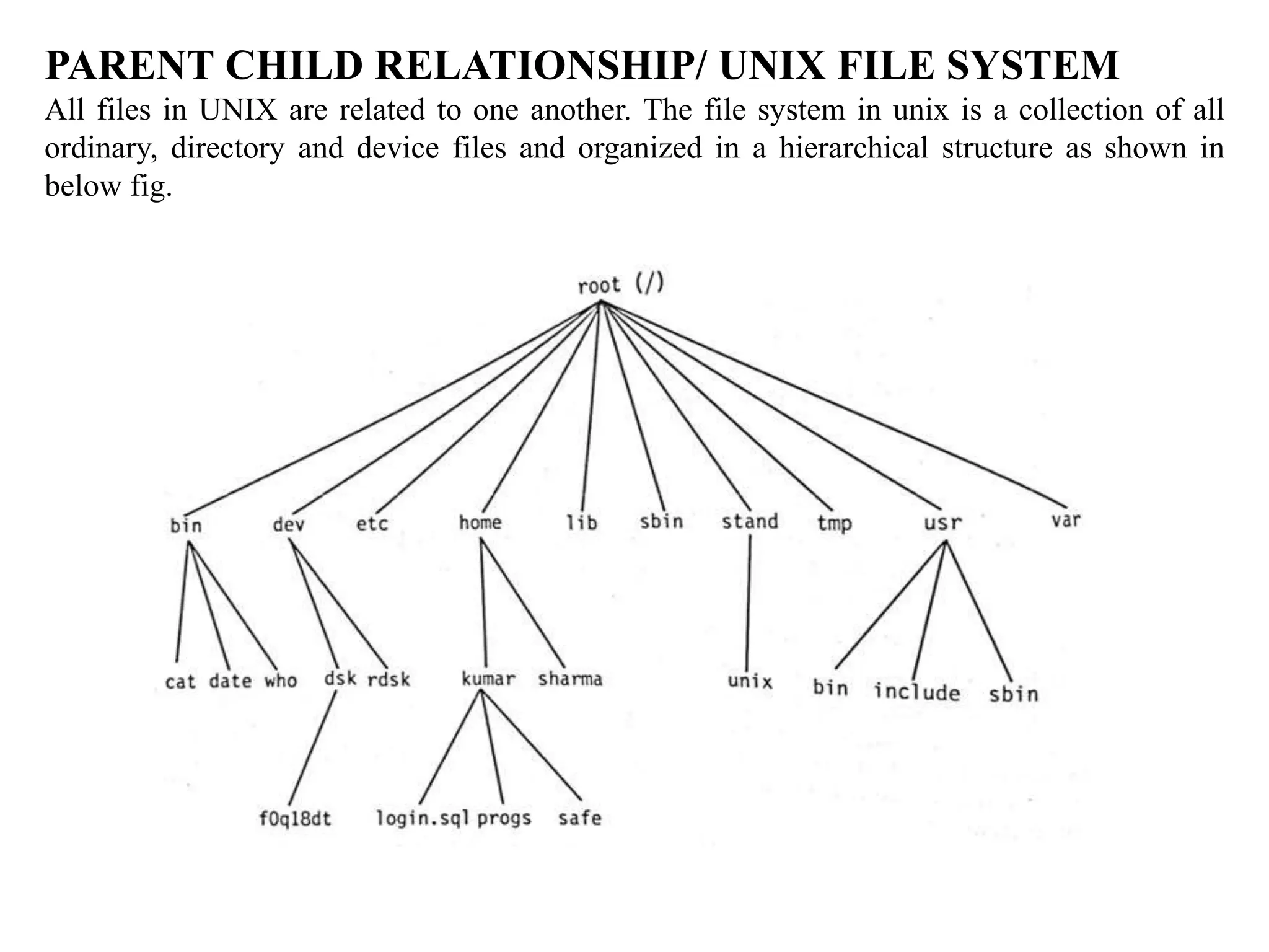 PARENT CHILD RELATIONSHIP/ UNIX FILE SYSTEM
All files in UNIX are related to one another. The file system in unix is a collection of all
ordinary, directory and device files and organized in a hierarchical structure as shown in
below fig.
 