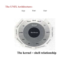 The UNIX Architecture:
The kernel – shell relationship
 