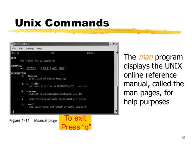 Unix OS & Commands