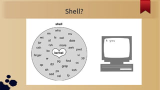 Shell?
 