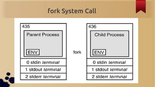 fork System Call
 