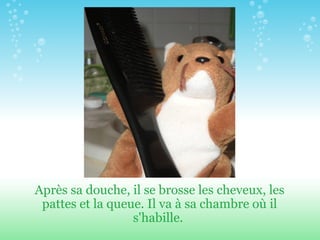 Après sa douche, il se brosse les cheveux, les pattes et la queue. Il va  à  sa chambre o ù  il s'habille.  