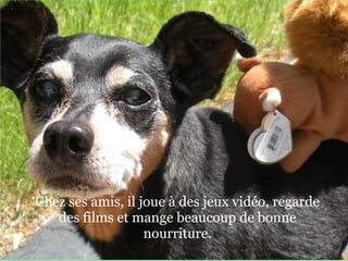   Chez ses amis, il joue à des jeux vidéo, regarde des films et mange beaucoup de bonne nourriture. 