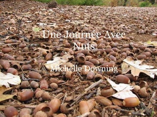 Un Jour Avec Nuts By: Michelle Downing Une Journée Avec Nuts Michelle Downing 