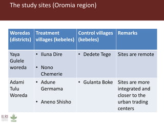 Understanding rural women's empowerment: A qualitative case study of the UNJP-RWEE project, Ethiopia