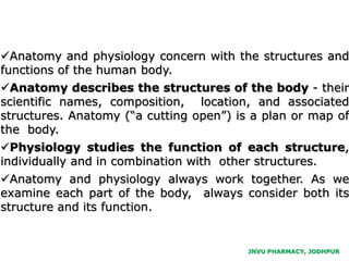 INTRODUCTION AND SCOPE OF ANATOMY AND PHYSIOLOGY | PPTX