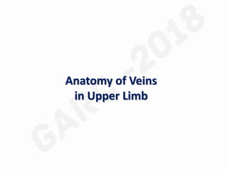 Anatomy of Veins
in Upper Limb
 