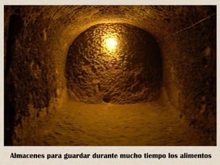 Almacenes para guardar durante mucho tiempo los alimentos
 