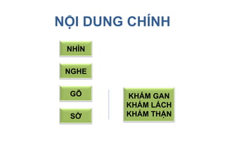 NỘI DUNG CHÍNH
NHÌN
NGHE
GÕ
SỜ
KHÁM GAN
KHÁM LÁCH
KHÁM THẬN
 