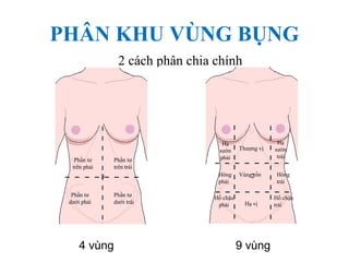 PHÂN KHU VÙNG BỤNG
2 cách phân chia chính
9 vùng4 vùng
Phần tư
trên phải
Phần tư
dưới trái
Phần tư
dưới phải
Phần tư
trên trái
Hạ
sườn
trái
Thượng vị
Hạ
sườn
phải
Vùng rốnHông
phải
Hông
trái
Hạ vị
Hố chậu
trái
Hố chậu
phải
 