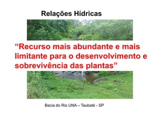 Relações Hídricas
Bacia do Rio UNA – Taubaté - SP
“Recurso mais abundante e mais
limitante para o desenvolvimento e
sobrevivência das plantas”
 