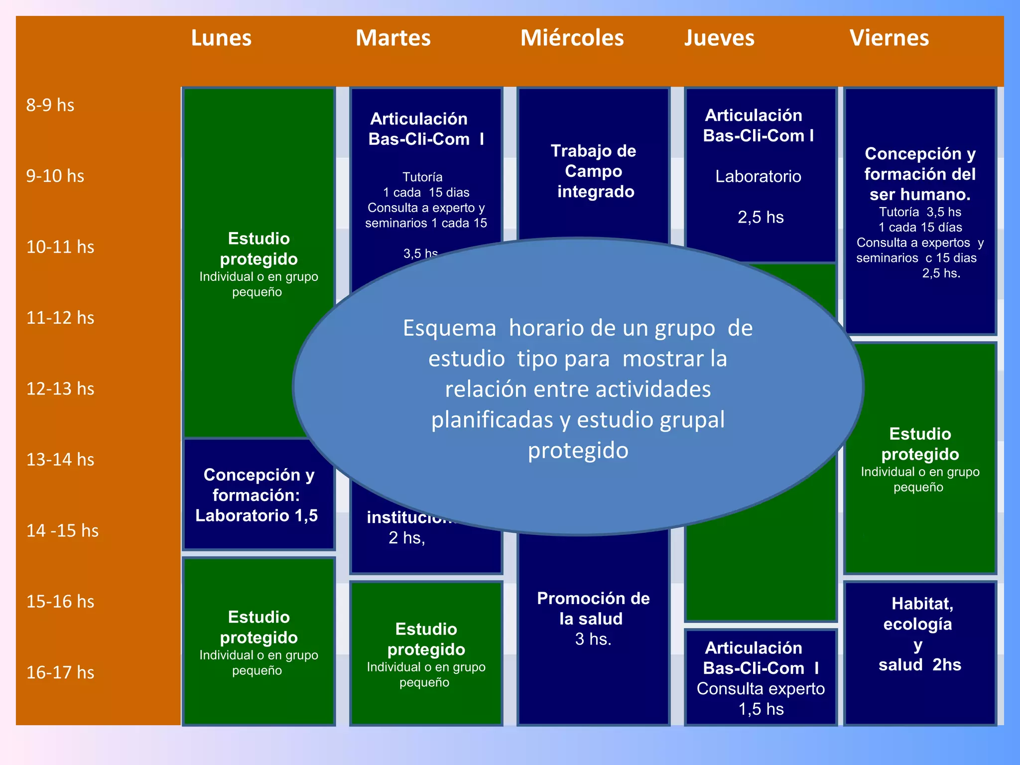 Lunes                   Martes                  Miércoles         Jueves               Viernes

8-9 hs
                                     Articulación                               Articulación
                                     Bas-Cli-Com I                              Bas-Cli-Com I
                                                              Trabajo de                            Concepción y
9-10 hs                                  Tutoría                Campo             Laboratorio       formación del
                                      1 cada 15 dias           integrado                             ser humano.
                                    Consulta a experto y                                              Tutoría 3,5 hs
                                    seminarios 1 cada 15                             2,5 hs
                                                                                                      1 cada 15 días
                Estudio
10-11 hs                                  3,5 hs.                4 hs.
                                                                                                   Consulta a expertos y
               protegido                                                                           seminarios c 15 dias
            Individual o en grupo                                                                             2,5 hs.
                  pequeño

11-12 hs
                                           Esquema horario de un grupo de
                                        Estudio
                                            estudio
                                       protegido          tipo para mostrar la
12-13 hs                                          relación entre actividades
                                    Individual o en grupo
                                          pequeño            traslado
                                                planificadasEspacio de grupal Estudio
                                                              y estudio                                 Estudio
                                                             Análisis de       protegido
13-14 hs                               Psicología          protegido
                                                              práctica     Individual o en grupo       protegido
             Concepción y                                                           pequeño        Individual o en grupo
                                     comunitaria ,             reflexiva                                 pequeño
              formación:                social e
            Laboratorio 1,5         institucional
14 -15 hs                              2 hs,


15-16 hs                                                     Promoción de                               Habitat,
                Estudio                                        la salud                                ecología
               protegido                Estudio
                                                                 3 hs.                                    y
            Individual o en grupo      protegido                                Articulación
16-17 hs          pequeño           Individual o en grupo                       Bas-Cli-Com I         salud 2hs
                                          pequeño
                                                                               Consulta experto
                                                                                    1,5 hs
 
