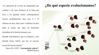 “La separación de la línea de antepasados que
conduce a los seres humanos de la línea que
lleva a los grandes simios contemporáneos
ocurrió, probablemente, hace unos 8 o 14
millones de años. Hace unos 3 millones de años
hubo al menos dos tipos de homínidos
(miembros de la familia humana), uno
llamado Australopiteco, que se extinguió, y otro
llamado Homo habilis, que fue un ancestro
remoto de nuestra especie”
Harris, M. (1997): “Antropología cultural”.
Madrid Alianza
¿De qué especie evolucionamos?
 