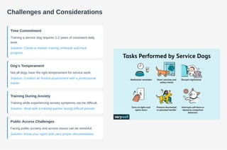 Unleash Calm Training Your Own Service Dog for Anxiety. | PDF