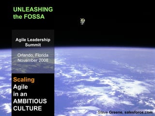 UNLEASHING the FOSSA Scaling   Agile in an AMBITIOUS CULTURE Agile Leadership Summit Orlando, Florida November 2008 Steve  Greene, salesforce.com 