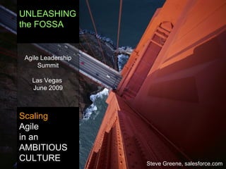UNLEASHING the FOSSA Scaling   Agile in an AMBITIOUS CULTURE Agile Leadership Summit Las Vegas  June 2009 Steve Greene, salesforce.com 
