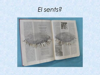 El sents?
 
