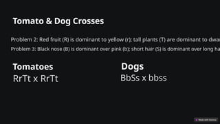Tomato & Dog Crosses
Problem 2: Red fruit (R) is dominant to yellow (r); tall plants (T) are dominant to dwar
Problem 3: Black nose (B) is dominant over pink (b); short hair (S) is dominant over long ha
Tomatoes
RrTt x RrTt
Dogs
BbSs x bbss
 