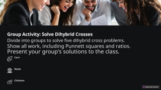 Group Activity: Solve Dihybrid Crosses
Divide into groups to solve five dihybrid cross problems.
Show all work, including Punnett squares and ratios.
Present your group's solutions to the class.
Corn
Roses
Chickens
 