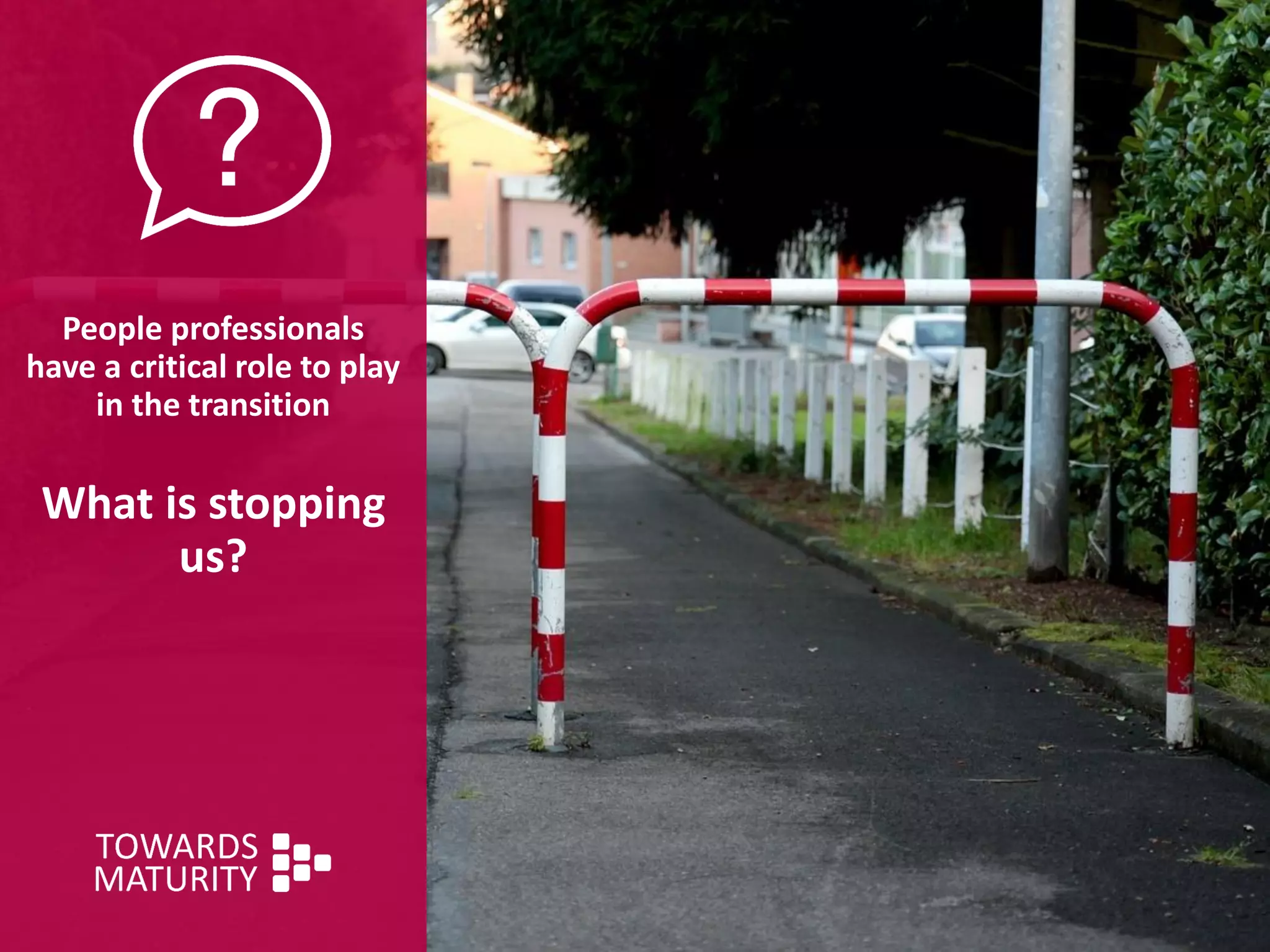 People professionals
have a critical role to play
in the transition
What is stopping
us?
 