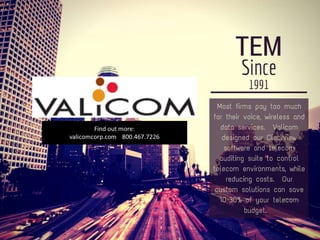 Unlocking Savings: Finding Telecom Inefficiencies 