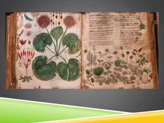 Unlocking the Mystery of the Voynich Manuscript | PPTX