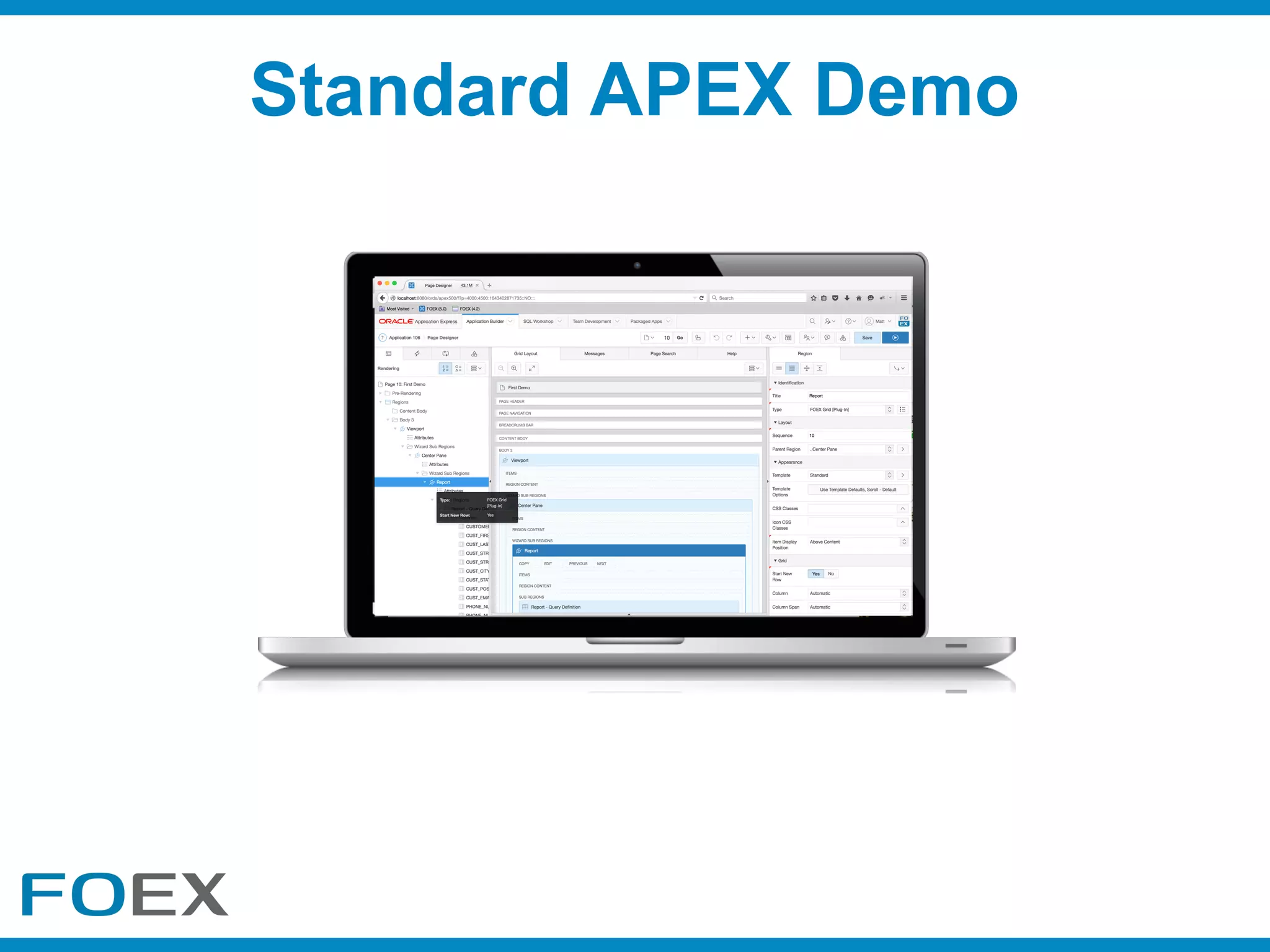 Standard APEX Demo
 