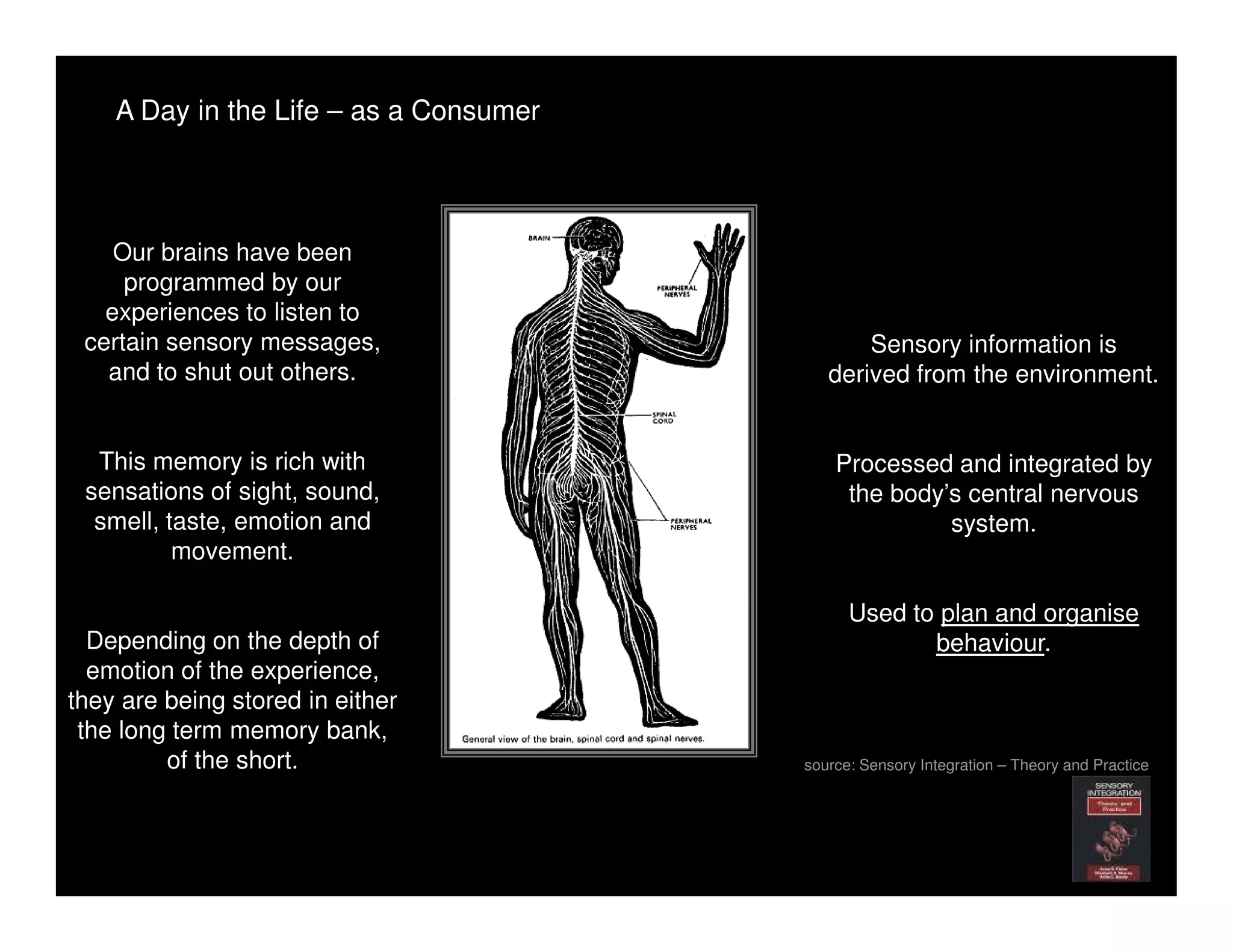 A Day in the Life – as a Consumer




    Our brains have been
     programmed by our
   experiences to listen to
 certain sensory messages,                     Sensory information is
   and to shut out others.                 derived from the environment.


  This memory is rich with                  Processed and integrated by
 sensations of sight, sound,                 the body’s central nervous
  smell, taste, emotion and                           system.
          movement.

                                              Used to plan and organise
  Depending on the depth of                          behaviour.
  emotion of the experience,
they are being stored in either
 the long term memory bank,
         of the short.                  source: Sensory Integration – Theory and Practice
 