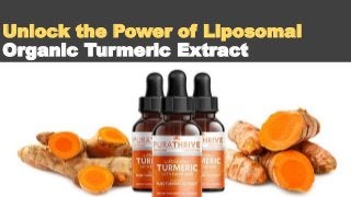 Unlock the Power of Liposomal
Organic Turmeric Extract
 