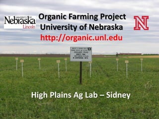 Organic Farming Project
 University of Nebraska
 http://organic.unl.edu




High Plains Ag Lab – Sidney
 
