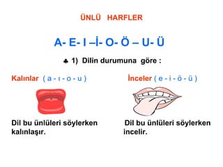 ÜNLÜ HARFLER
A- E- I –İ- O- Ö – U- Ü
♣ 1) Dilin durumuna göre :
Kalınlar ( a - ı - o - u ) İnceler ( e - i - ö - ü )
Dil bu ünlüleri söylerken Dil bu ünlüleri söylerken
kalınlaşır. incelir.
 