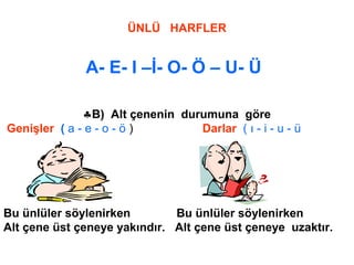 ÜNLÜ HARFLER
A- E- I –İ- O- Ö – U- Ü
♣B) Alt çenenin durumuna göre
Genişler ( a - e - o - ö ) Darlar ( ı - i - u - ü
Bu ünlüler söylenirken Bu ünlüler söylenirken
Alt çene üst çeneye yakındır. Alt çene üst çeneye uzaktır.
 