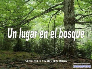 Audio con la voz de Jorge Bucay Un lugar en el bosque 