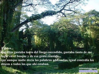 Y dicen ... que Dios gustaba tanto del fuego encendido, gustaba tanto de ese lugar en el bosque y de esa gente reunida... que aunque nadie decía las palabras adecuadas, igual concedía los deseos a todos los que ahí estaban. 