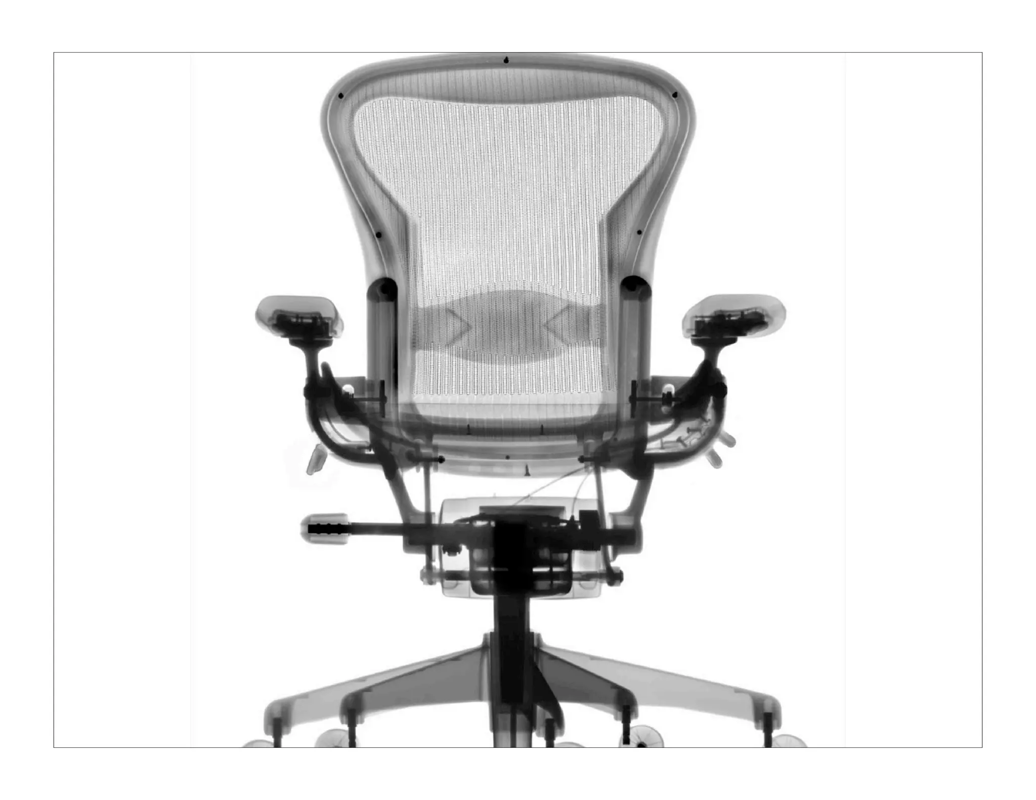 Unmanaging: Unleashing the Creative Beast