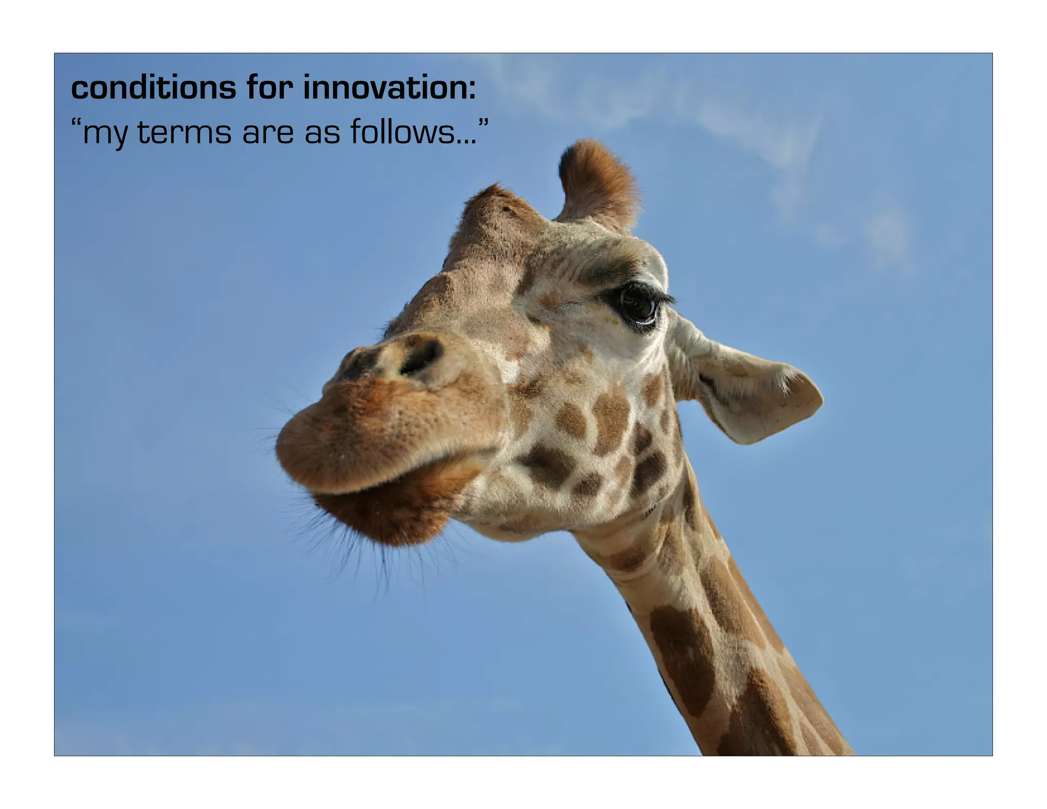 Unmanaging: Unleashing the Creative Beast