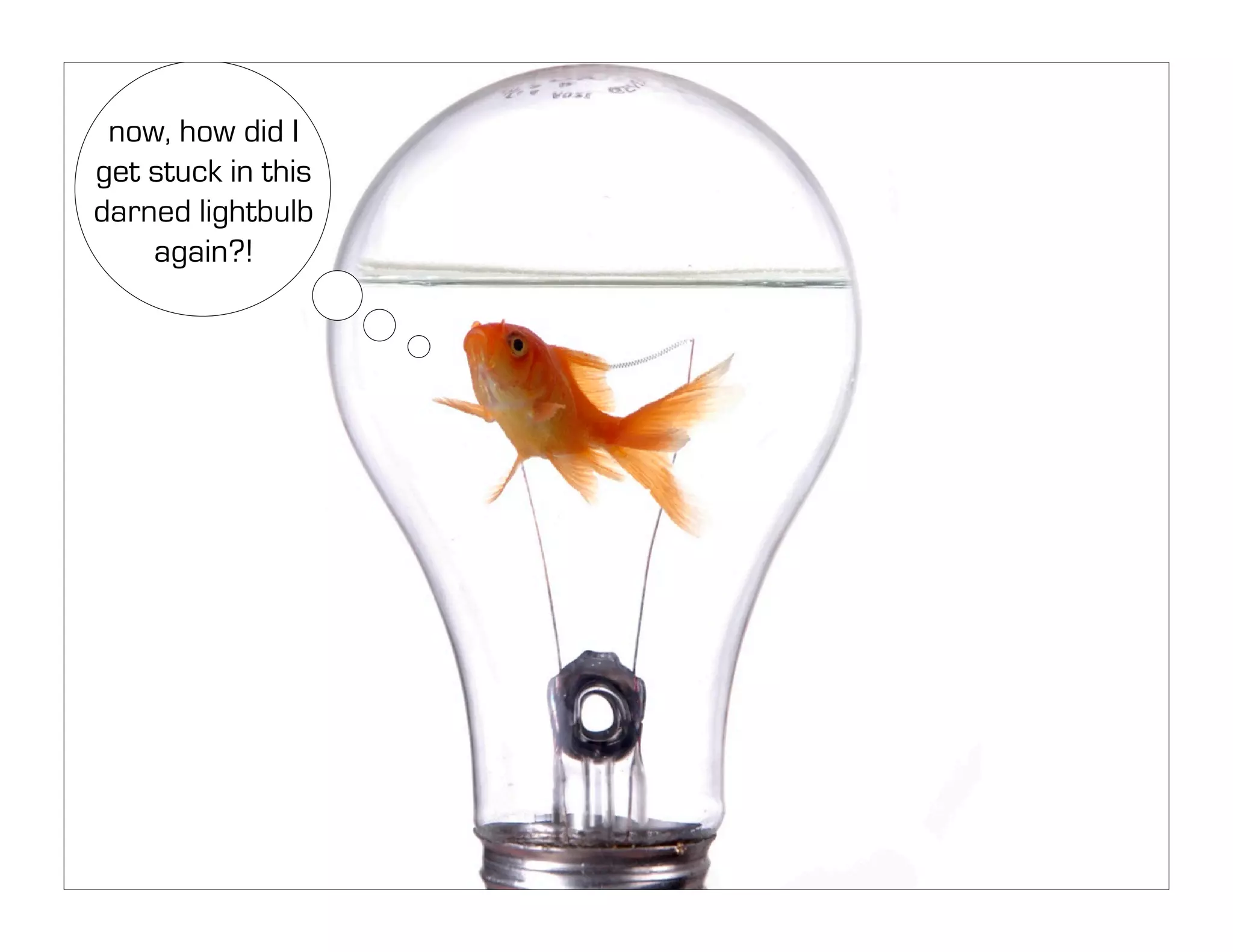 Unmanaging: Unleashing the Creative Beast