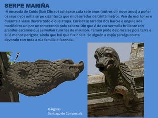 SERPE MARIÑA
-Á enseada de Coído (San Cibrao) achégase cada sete anos (outros din nove anos) a poñer
os seus ovos unha serpe xigantesca que mide arredor de trinta metros. Ven de moi lonxe e
durante a viaxe devora todo o que atopa. Enróscase arredor dos barcos e engule aos
mariñeiros un por un comezando pola cabeza. Din que é de cor vermella brillante con
grandes escamas que semellan cunchas de mexillón. Tamén pode desprazarse pola terra e
alí é menos perigosa, aínda que hai que fuxir dela. Se alguén a espía perségueo ata
devoralo con toda a súa familia e facenda.
Gárgolas
Santiago de Compostela
 