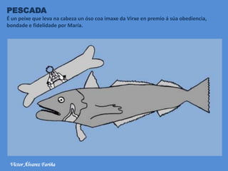PESCADA
É un peixe que leva na cabeza un óso coa imaxe da Virxe en premio á súa obediencia,
bondade e fidelidade por María.
Víctor Álvarez Fariña
 