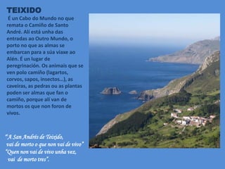 TEIXIDO
É un Cabo do Mundo no que
remata o Camiño de Santo
André. Alí está unha das
entradas ao Outro Mundo, o
porto no que as almas se
embarcan para a súa viaxe ao
Alén. É un lugar de
peregrinación. Os animais que se
ven polo camiño (lagartos,
corvos, sapos, insectos…), as
caveiras, as pedras ou as plantas
poden ser almas que fan o
camiño, porque alí van de
mortos os que non foron de
vivos.
“A San Andrés de Teixido,
vai de morto o que non vai de vivo”
“Quen non vai de vivo unha vez,
vai de morto tres”.
 