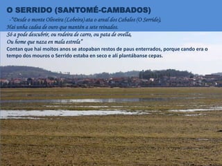 O SERRIDO (SANTOMÉ-CAMBADOS)
-“Desde o monte Oliveira (Lobeira) ata o areal dos Cabalos (O Serrido),
Hai unha cadea de ouro que mantén a sete reinados.
Só a pode descubrir, ou rodeira de carro, ou pata de ovella,
Ou home que naza en mala estrela”
Contan que hai moitos anos se atopaban restos de paus enterrados, porque cando era o
tempo dos mouros o Serrido estaba en seco e alí plantábanse cepas.
 